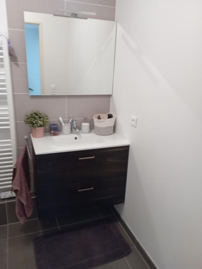 Chambre Nature Chez L'Habitant 스트라스부르 외부 사진