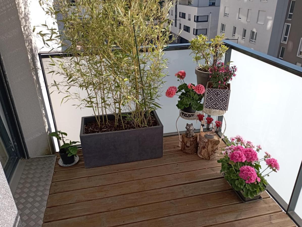 Chambre Nature Chez L'Habitant 스트라스부르 외부 사진
